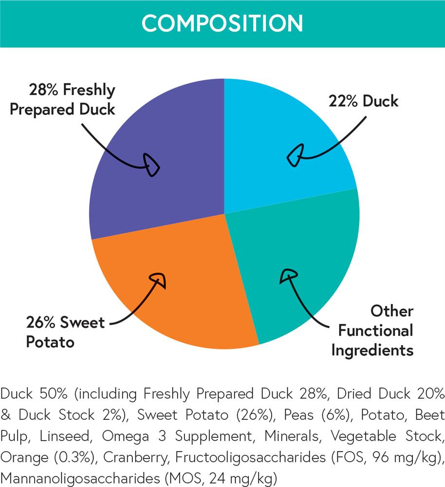 Adult Dog Duck sweet Potato and Orange Composition